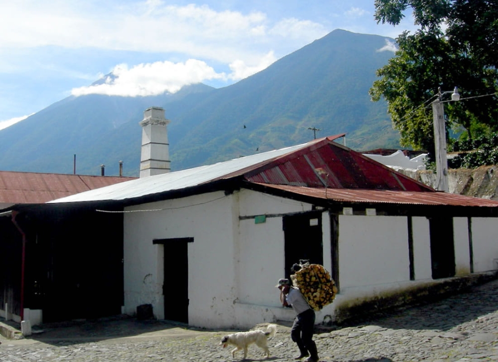 Гватемала Escogido – кава для гейзерної та еспресо-кавоварки - Zdjęcie 7