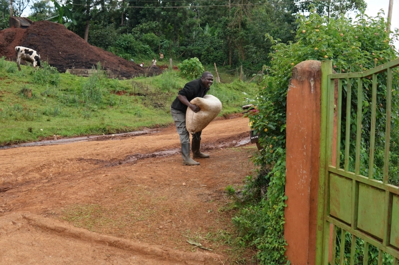 kenia-2.webp
