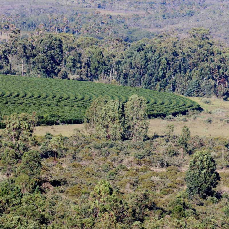 EcoAgricola_1_small.jpg
