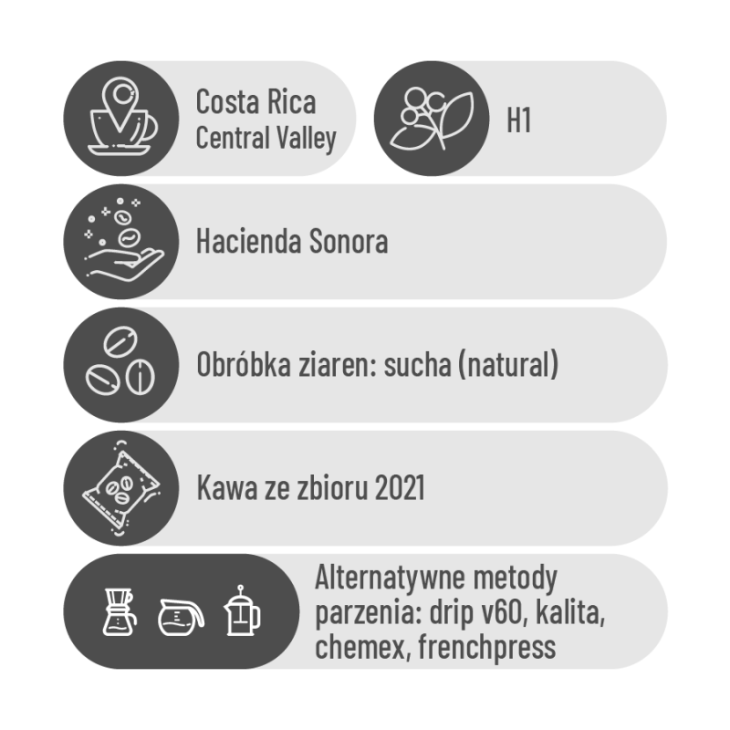 Costa Rica Hacienda Sonora H1.png