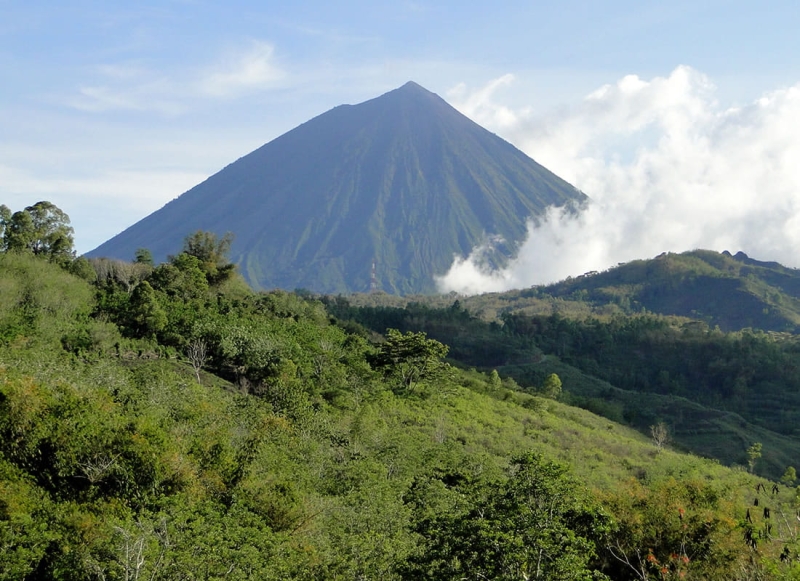 Indonesia indonezja kerinci natural 1.jpg