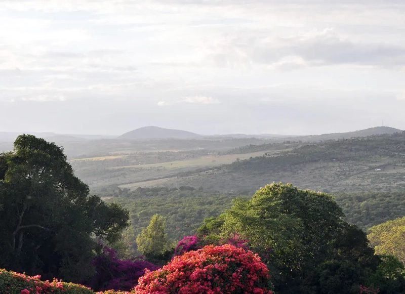 Kenya_06.webp