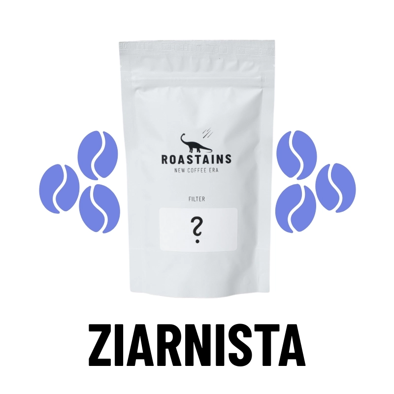 filter-ziarnista-sampel.webp