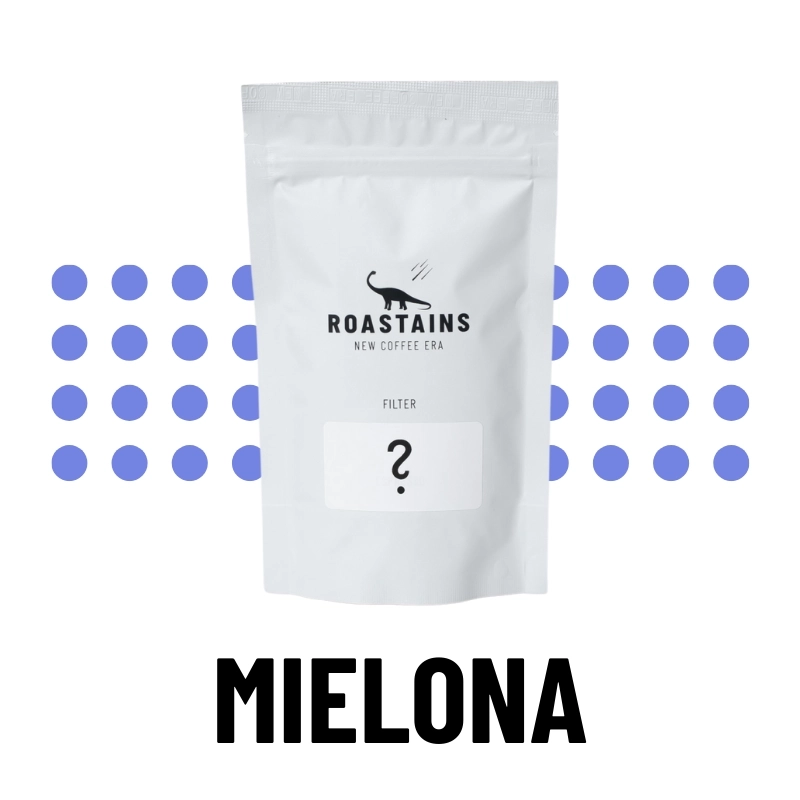 filter-mielona-sampel.webp