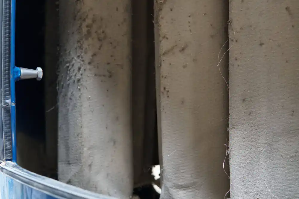 rolnicy często decydują się na inne procesy, obróbka typu honey może dać bardzo czyste ale też bardzo ciężkie smaki