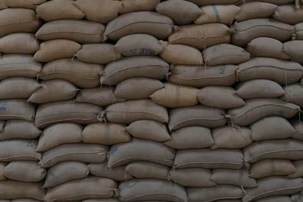 cupping to nieodzowny element produkcji kawy, czyli test jakości surowca.