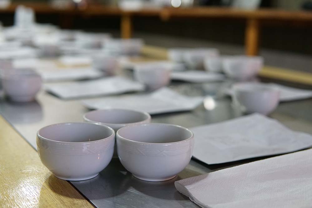 cupping to nieodzowny element produkcji kawy, czyli test jakości surowca.