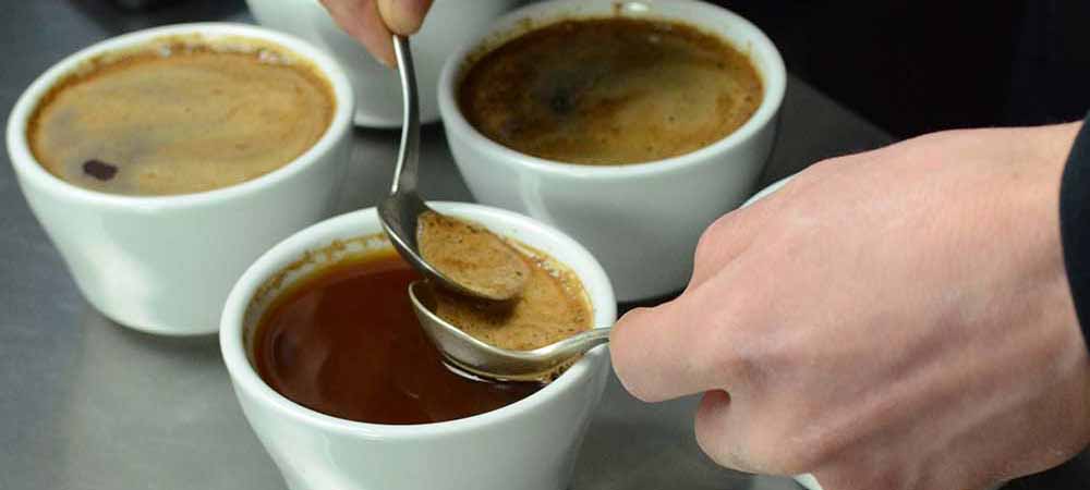 przygotowujemy wspolnie cupping kawy i oceniamy jakościowo kawę