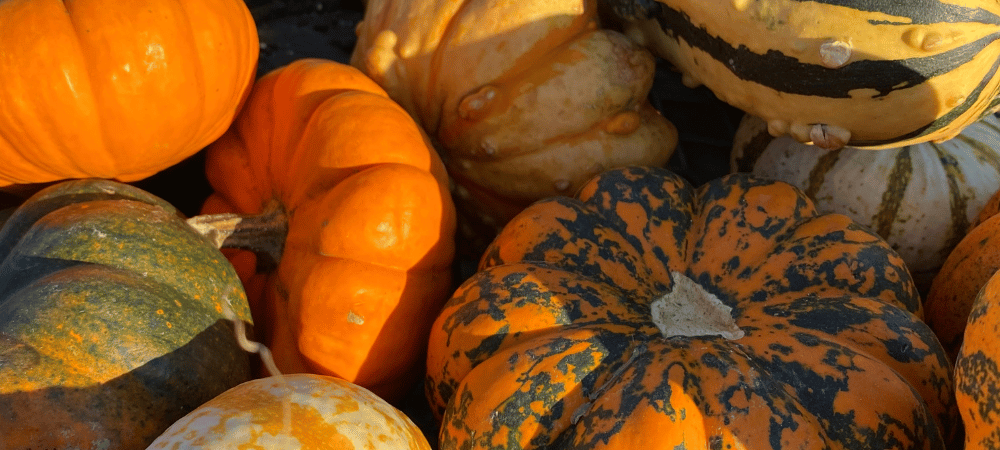 Jak przygotować jesienne kawy w domu? Pumpkin Spice Latte to dopiero początek